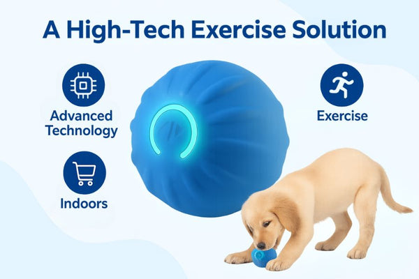 A High-Tech Exercise Solution
