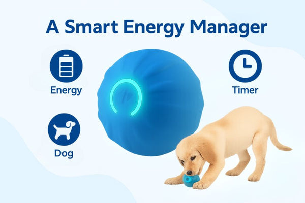 A Smart Energy Manager